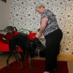 By the end of the week, Ray was looking forward to his daily walks with Ragna, his host's dog seen here with Doris By the end of the week, Ray was looking forward to his daily walks with Ragna, his host's dog seen here with Doris