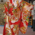 All the ladies tried on a kimono