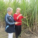 Barbara N.'s hostesses shared information about the sugarcane industry. Barbara N.'s hostesses shared information about the sugarcane industry.