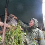 Jim N. pet a Koala at the Australia Zoo. Jim N. pet a Koala at the Australia Zoo.
