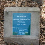 If you should ever visit the botanical garden, look for this plaque commemorating FFCNC's visit. If you should ever visit the botanical garden, look for this plaque commemorating FFCNC's visit.
