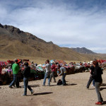 14,000 ft. roadside market.