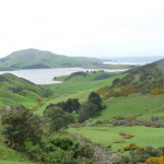 A beautiful view on the South Island, New Zealand.