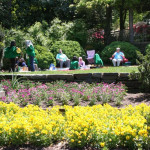 Picnic in Duke Gardens.