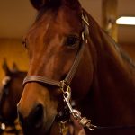 A short drive from Ottawa brought us to the Ottawa Valley and Millar Brooke Farm..... A short drive from Ottawa brought us to the Ottawa Valley and Millar Brooke Farm.....