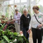 Jim N. and the guests from Colorado admire a plant in the greenhouse of Reynolda. Jim N. and the guests from Colorado admire a plant in the greenhouse of Reynolda.