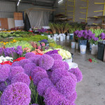 2018 Outbound Oregon