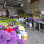 2018 Outbound Oregon