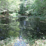 2018 Outbound Oregon