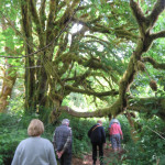 2018 Outbound Oregon