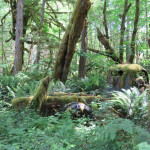 2018 Outbound Oregon