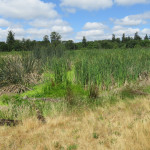 2018 Outbound Oregon